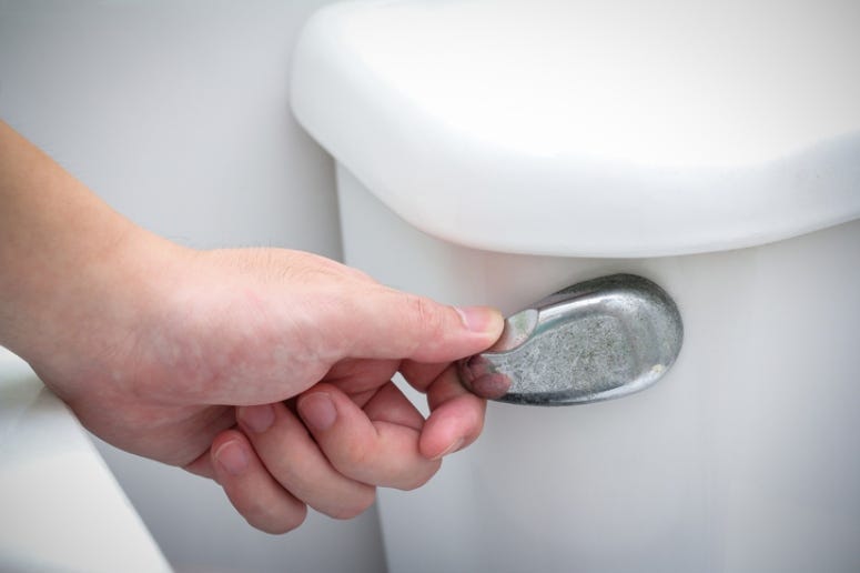 Toilet_Flush
