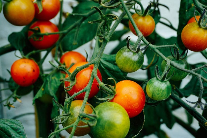 produce