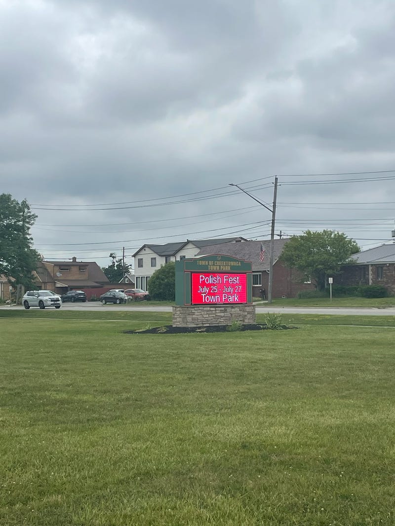 Teenagers arrested for stealing vehicle, driving through park