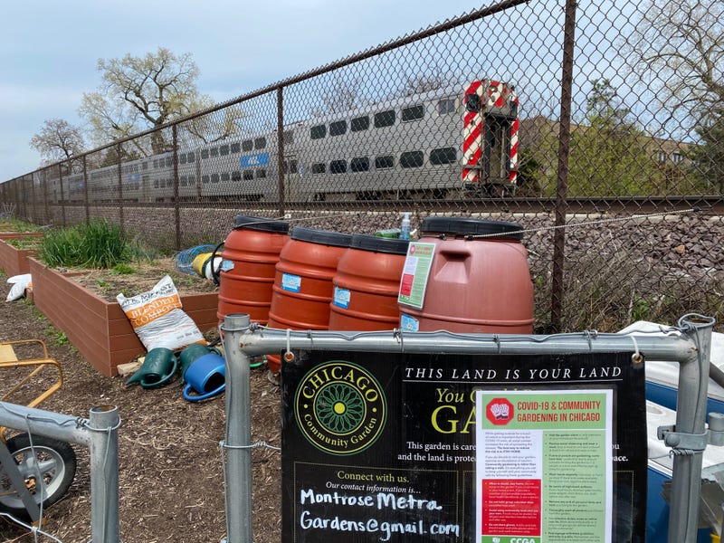 Ravenswood Community Garden