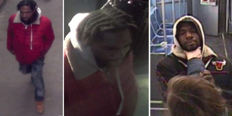 CTA Train Groper, Robbery Suspect Red Line