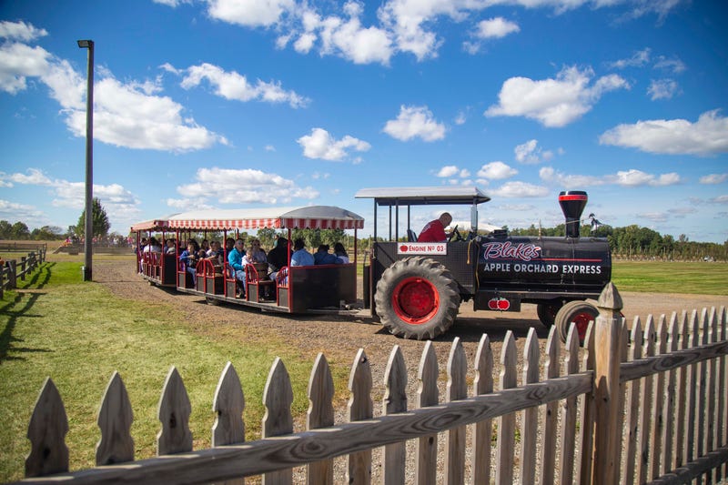 Blake's train