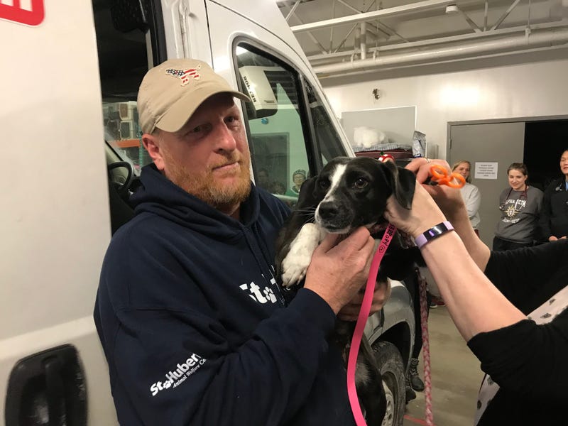 SPCA Serving Erie County
