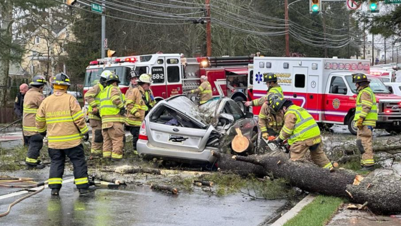 Fallen tree kills woman in Collegeville