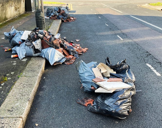 Trash collection in New Orleans is garbage