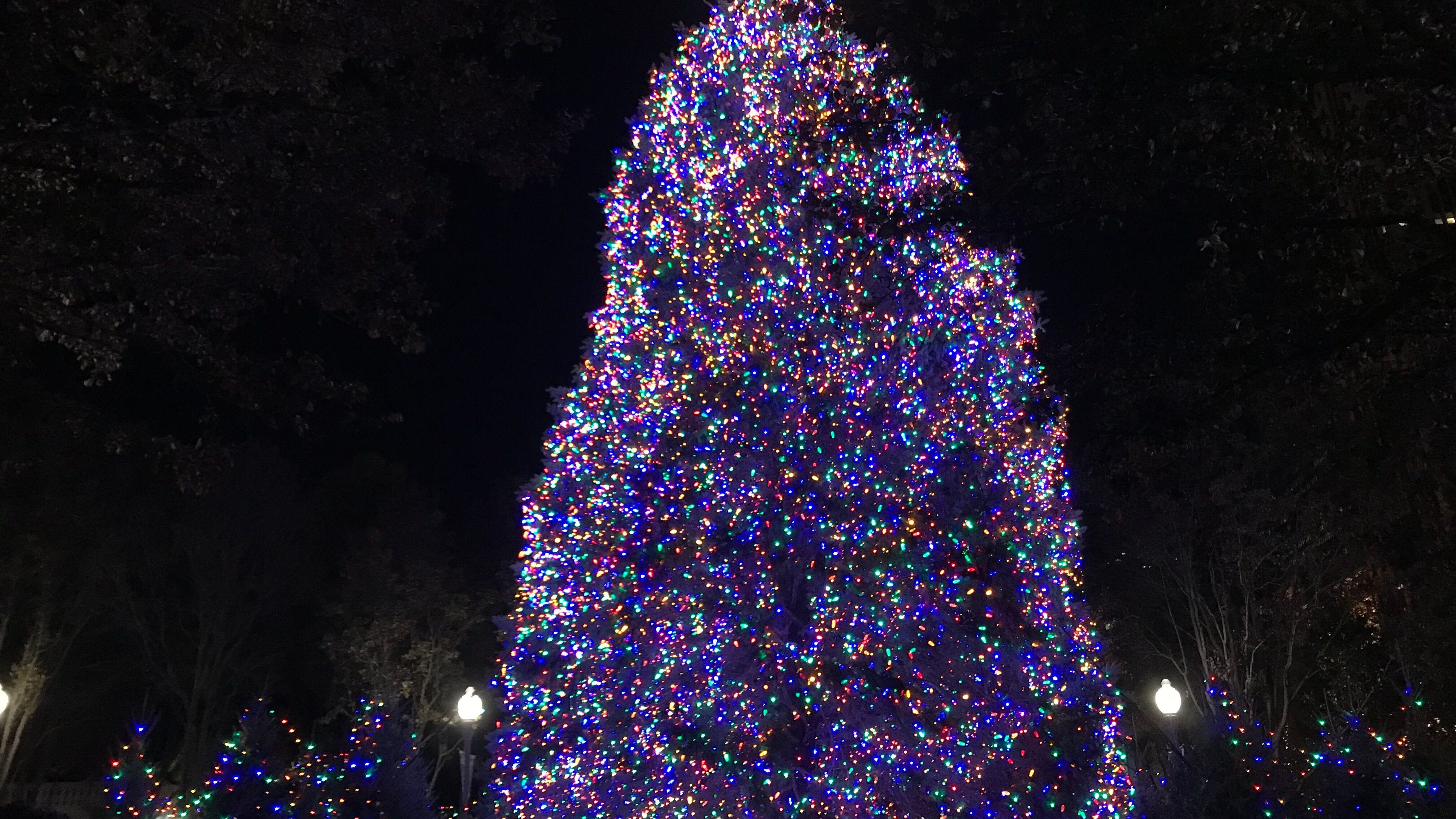 Christmas Season Kicks Off With Chicago Tree-Lighting