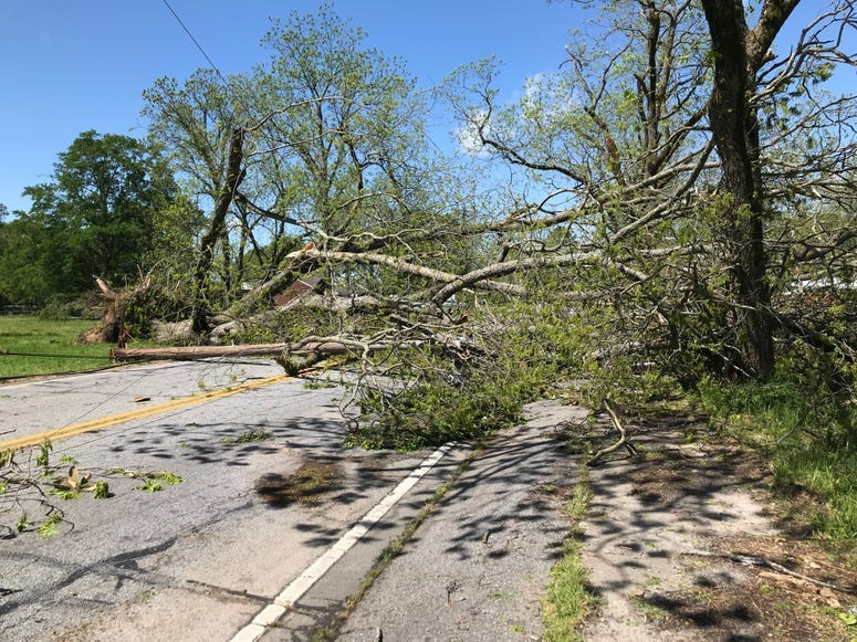 Tree and Power Lines Down in Townville