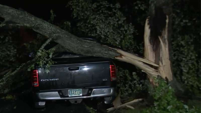 A fallen tree on top of a car in New Castle County, Delaware. 