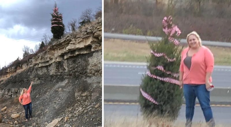 I-270 tree