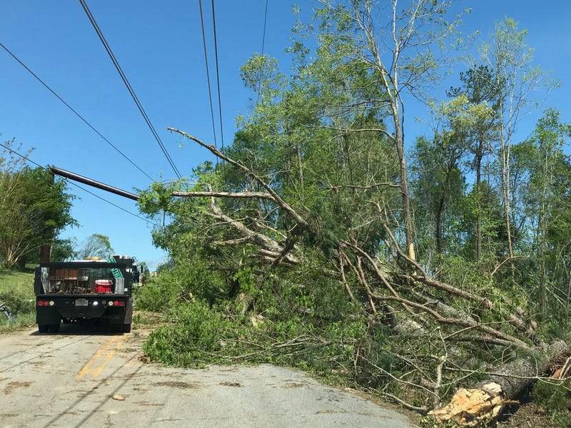 Trees Blocking Road in Seneca