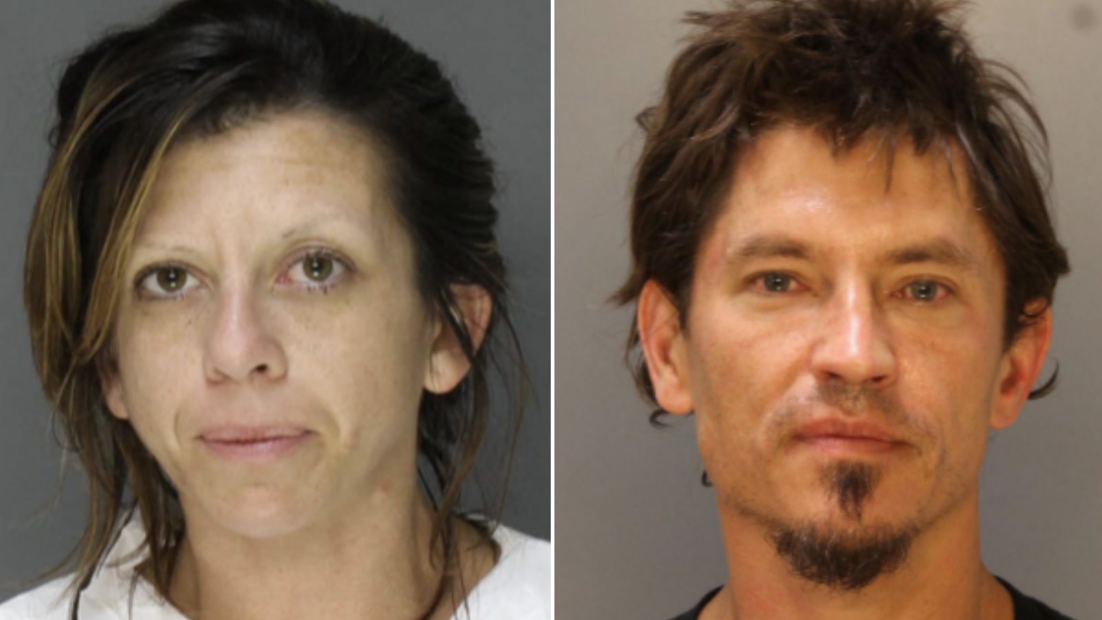 K-9s, drone locate trespasser who was squatting in Wayne house for a week, police say