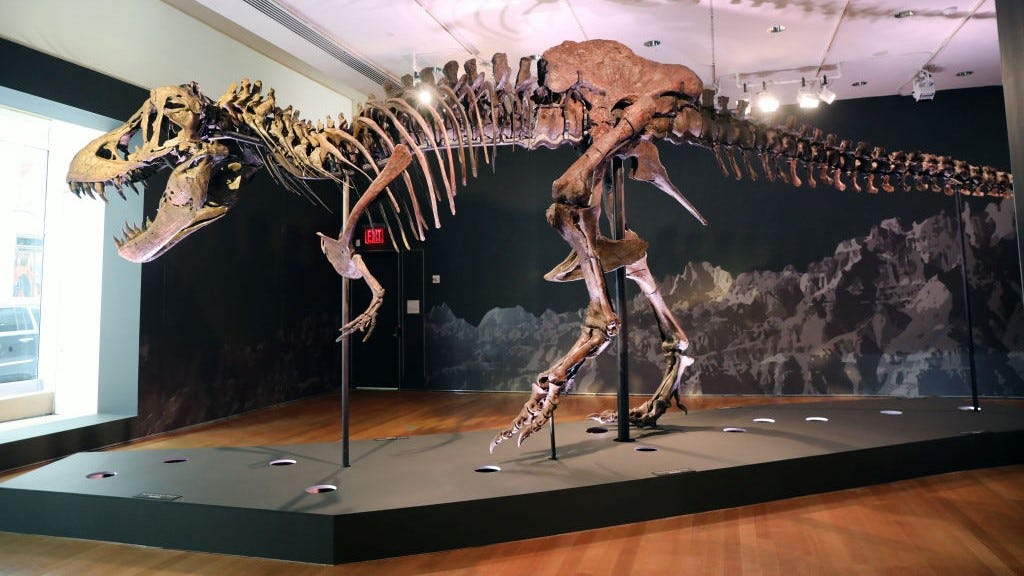 76-million-year-old dinosaur skeleton to be auctioned