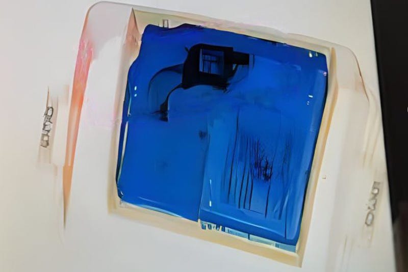TSA gun in gaming system