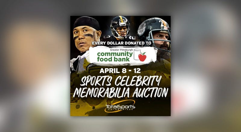 Total Sports Enterprises Auction