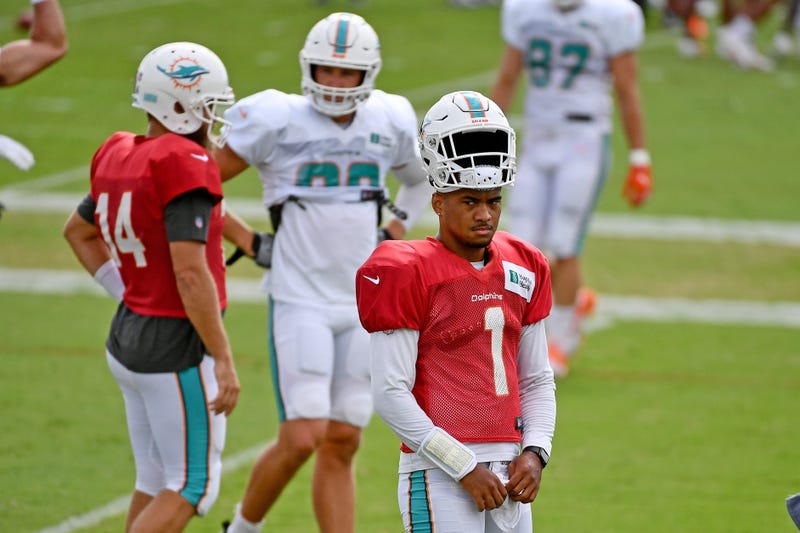 Tua Dolphins