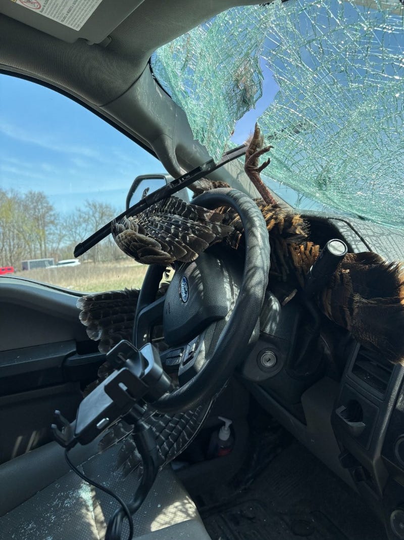 Photo of the damage after a crash with a turkey on I-96.