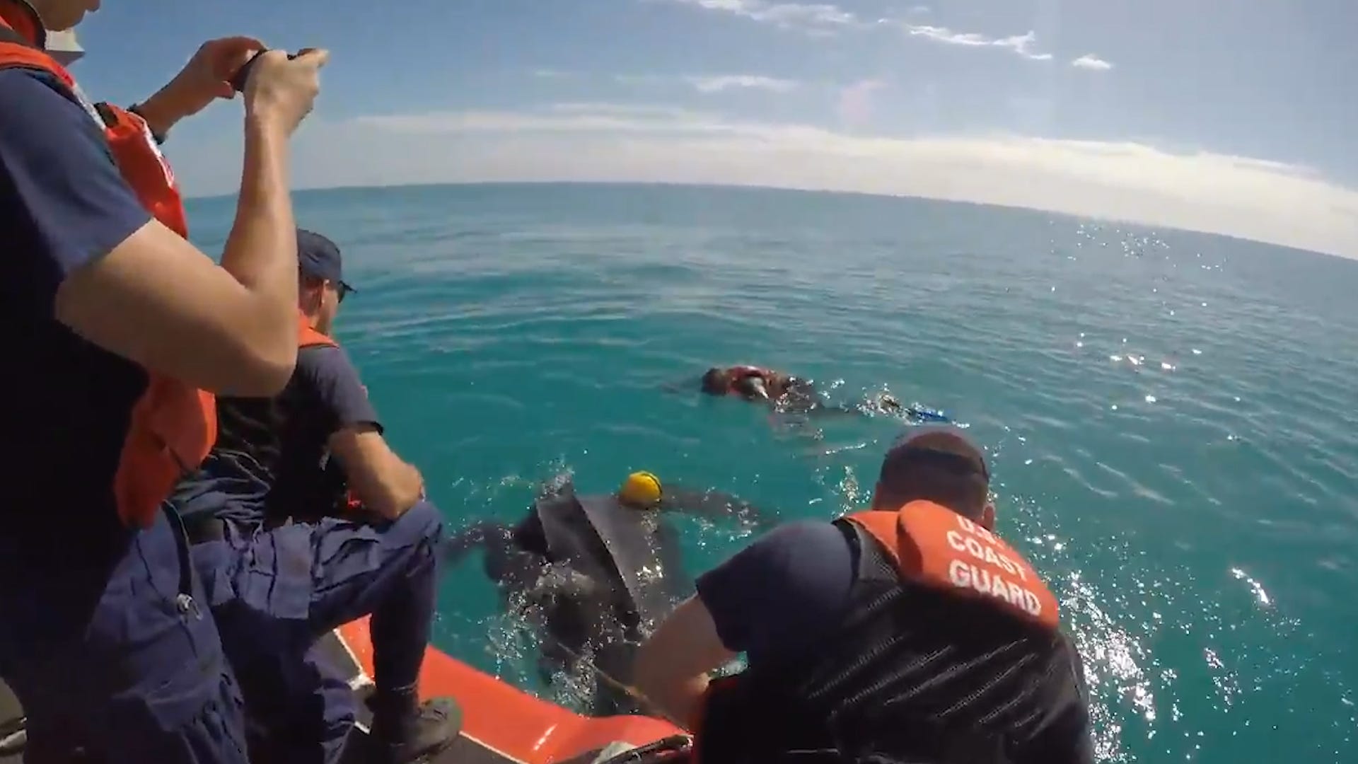 500-Pound Endangered Turtle Freed by the Coast Guard