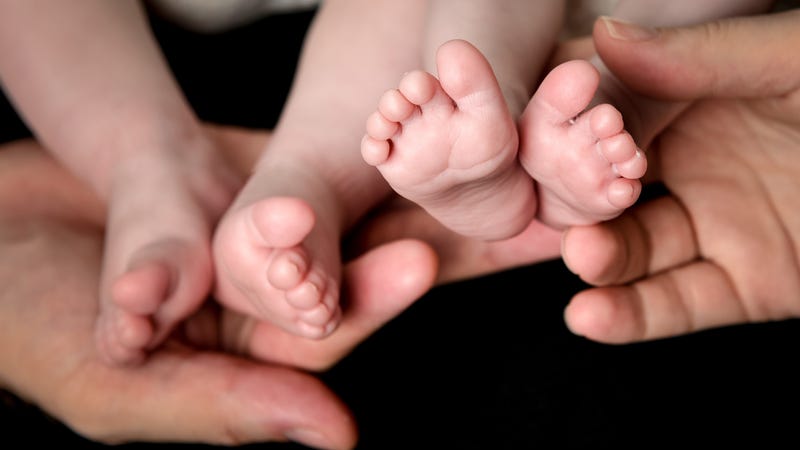 Little Baby Twins Feet in parents hands. Parenthood, family, twins, children and love concept.