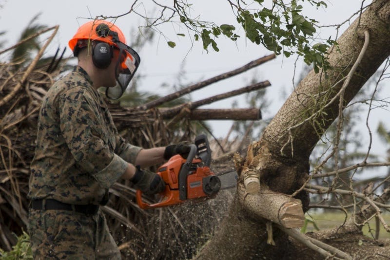 Typhoon assistance