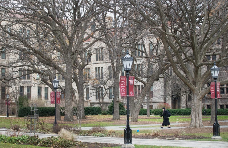 University Of Chicago Campus View
