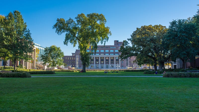 U of M