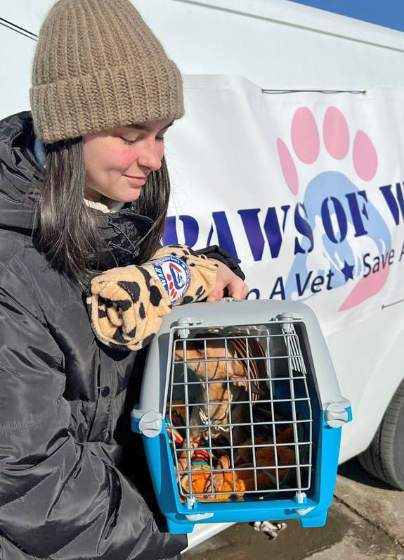 Paws of War in Ukraine