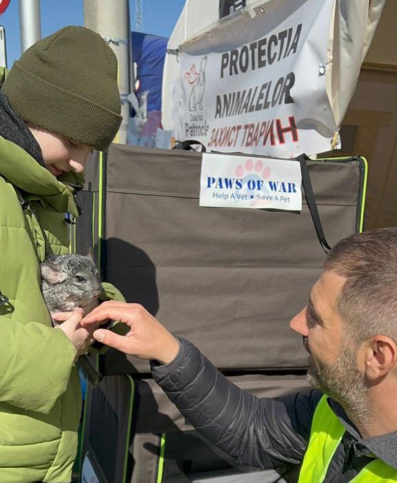 Paws of War in Ukraine