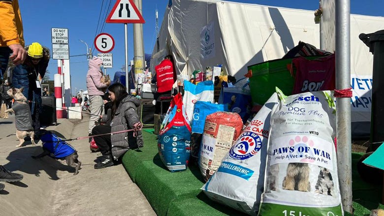 Paws of War in Ukraine