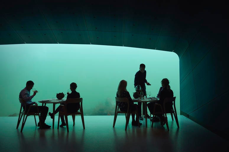 people eating in Under restaurant