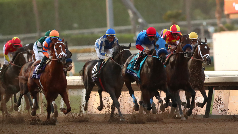 ARCADIA, CALIFORNIA - NOVEMBER 02: The field in action racing during the first lap of the Longines Breeders' Cup Classic at Santa Anita Park on November 02, 2019 in Arcadia, California.