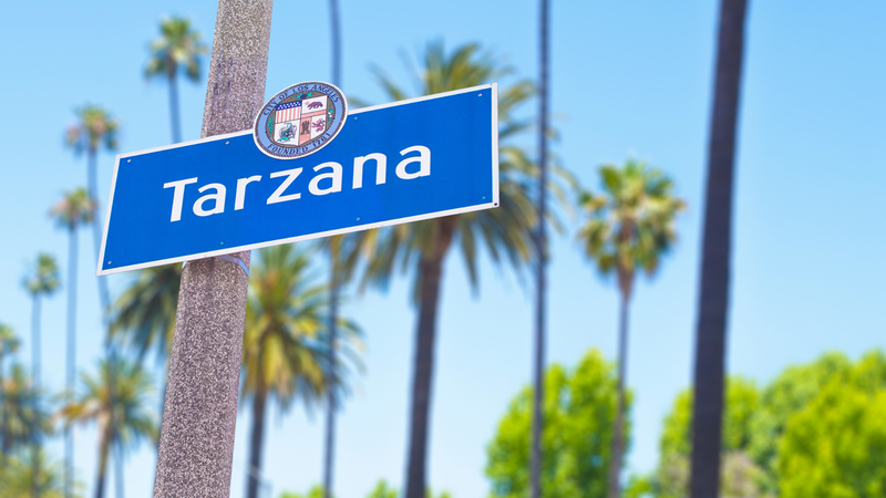 Tarzana Man Pleads Not Guilty to Murdering Wife, In-Laws