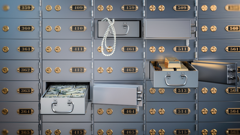 FBI search-seizure of U.S. Private Vaults found to violated some civil rights