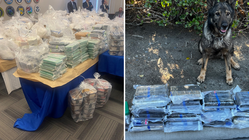 Drugs taken in major international drug bust