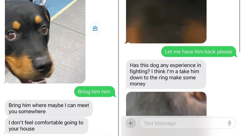 texts from dognapper 