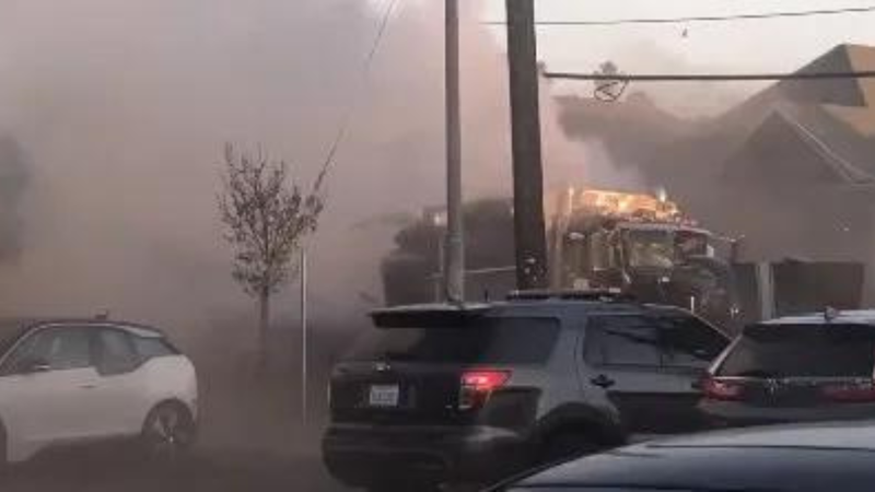 LAPD botched firework removal