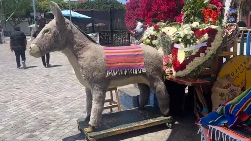 El Burro