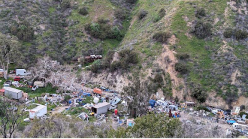 problem house in LA