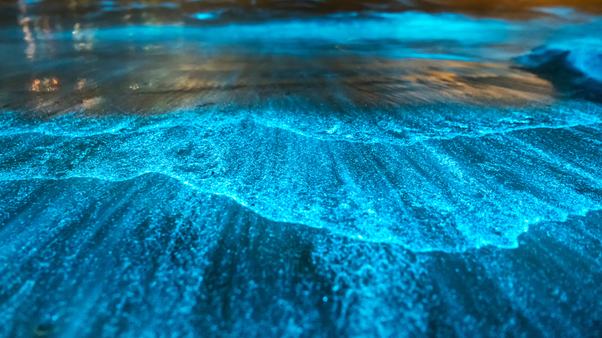 SoCal's coastline will be glowing this weekend