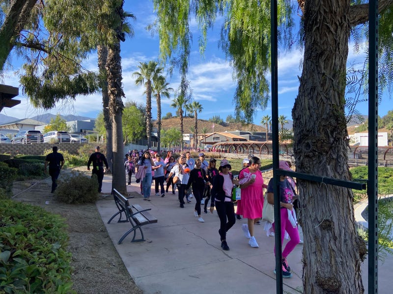 Support Sisters Combat Cancer Walk 2024