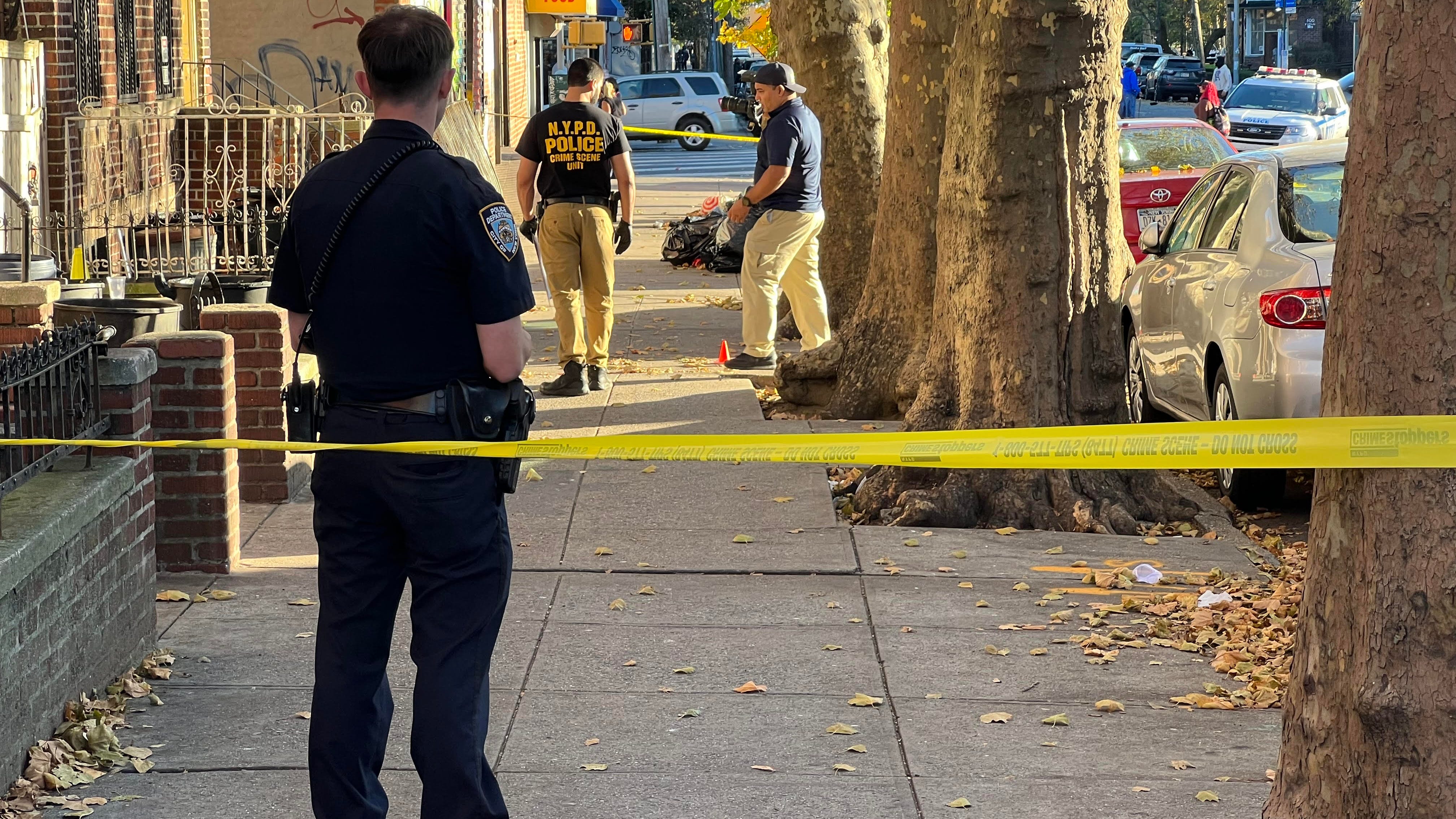 Man, 35, fatally shot in face along Brooklyn street: police