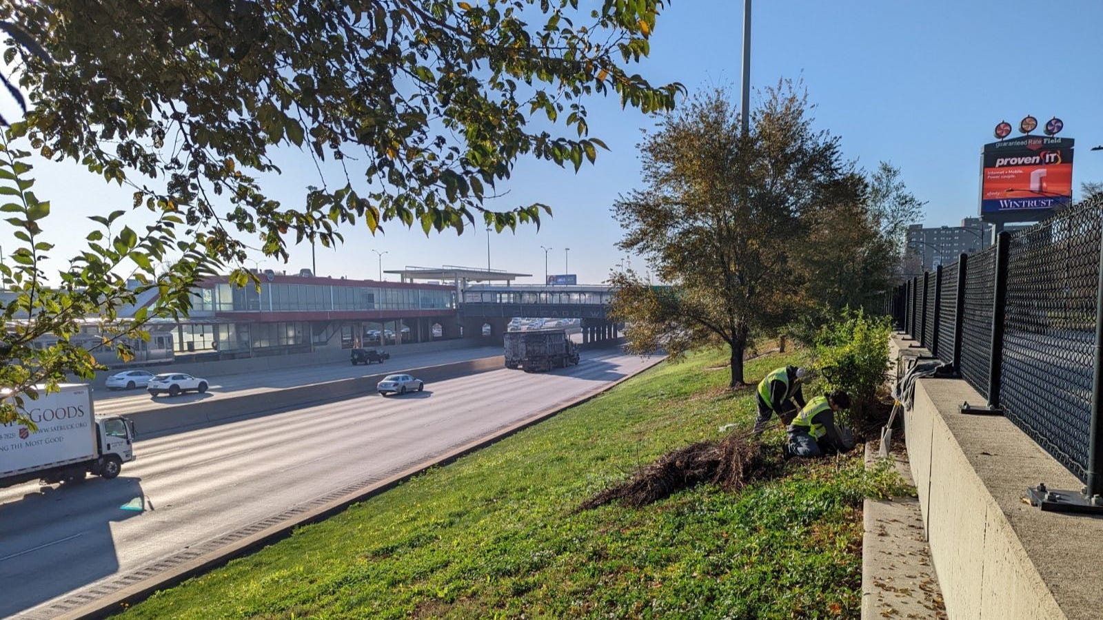 Green space along Dan Ryan will transform into monarch butterfly sanctuary