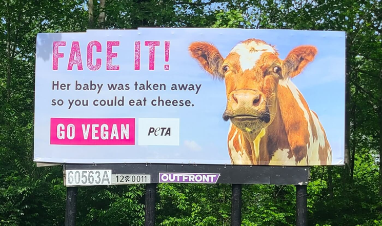 PETA billboard on PA Cheese Trail