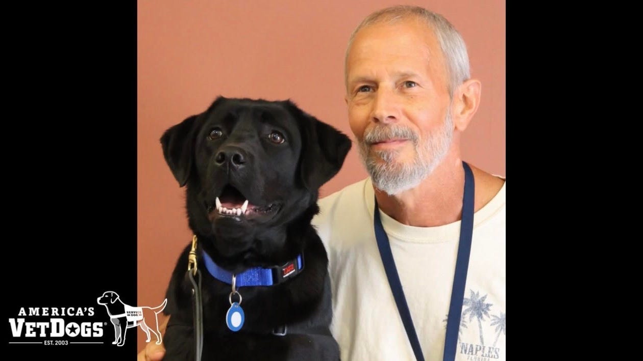 Service dog helps Vietnam veteran with PTSD