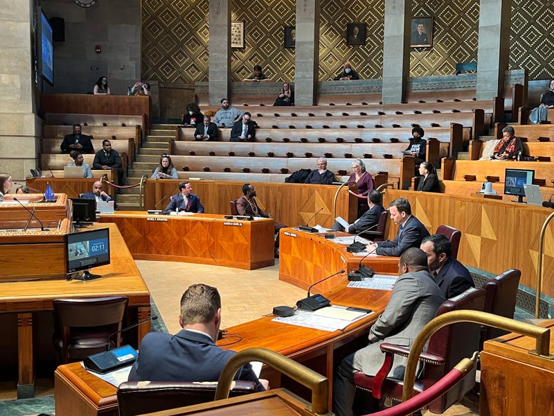 Buffalo Common Council's Community Development Committee in session on Feb. 28th, 2023. 