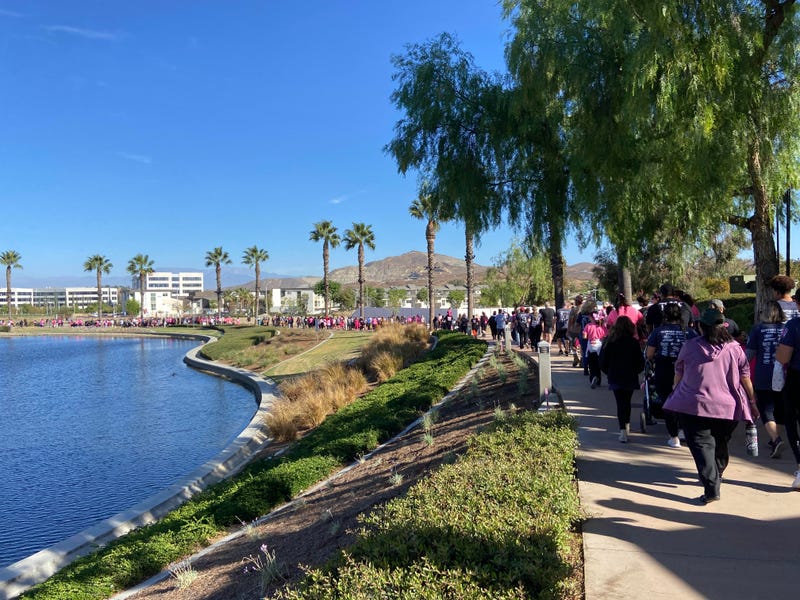Support Sisterz Combat Cancer Walk 2024