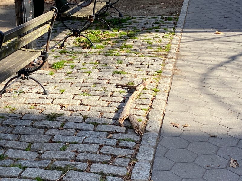 The stick the man allegedly used to attack New York Post reporter Kevin Sheehan