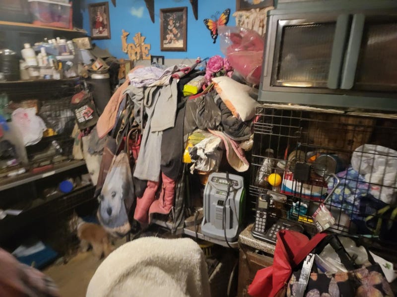 Detectives from the Suffolk County SPCA charged a Ronkonkoma woman with multiple animal cruelty charges alleging that she neglected dogs, cats, and a bird in her care.