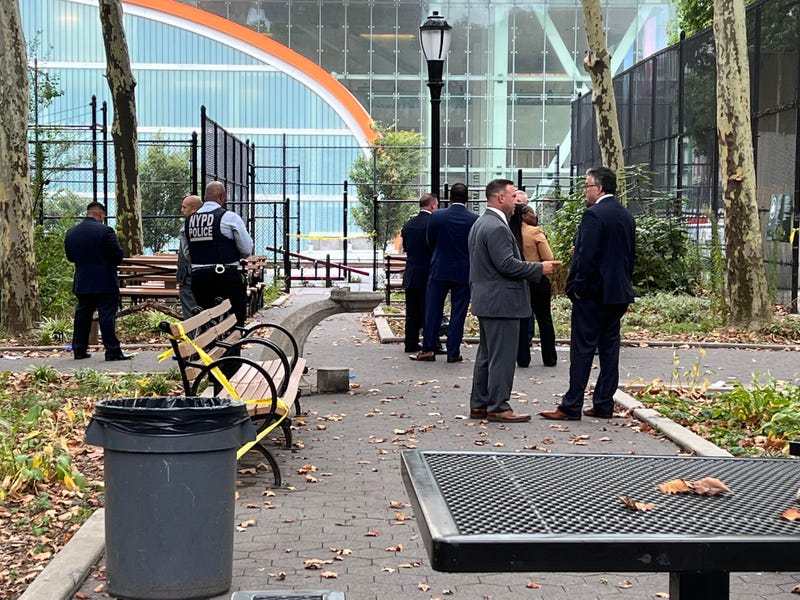 A 15-year-old boy was shot in the chest in a downtown Brooklyn park on Wednesday, police said.