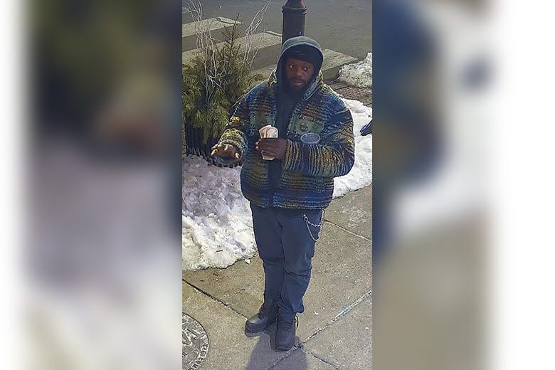 Suspected purse theif