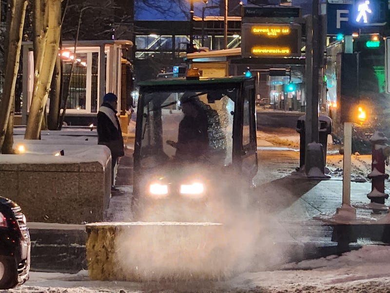 Snow brush